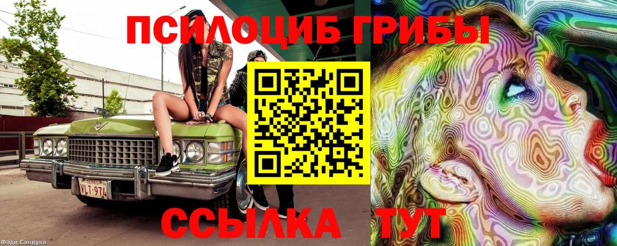 Томск  Псилоцибиновые грибы мицелий  Вход с VPN  Галлюциногенные грибы мицелий 