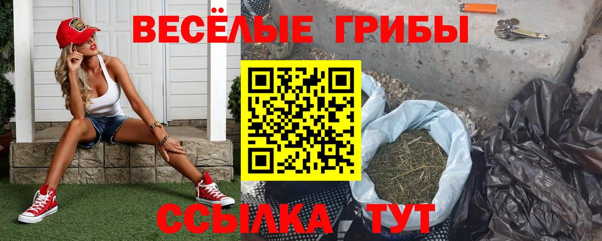Псилоцибиновые грибы MAGIC MUSHROOMS Томск